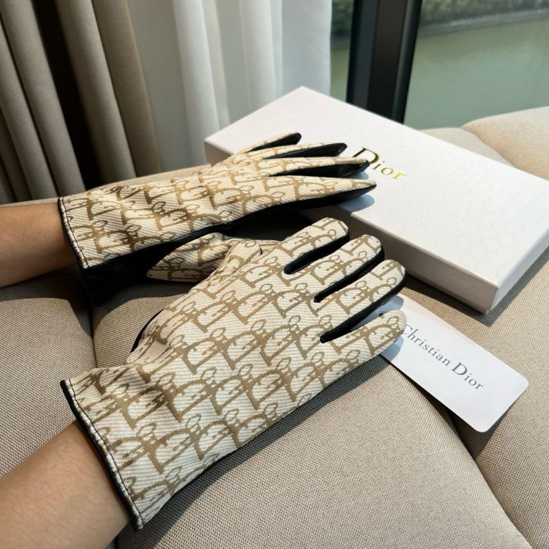Dior Gloves
