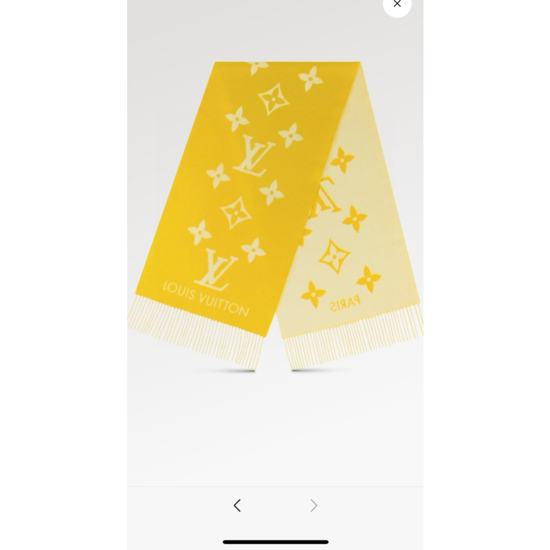LV Cashmere scarf